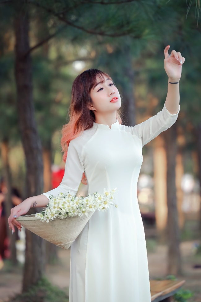丝绒陷阱